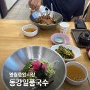 춘천서부시장 | 영월중앙시장 동강일품국수, 메밀전병 | 비빔 막국수 내돈내산 솔직후기