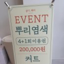 동래 곱다, 헤어 애쉬 브라운 후기(탈색 x)