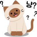 동산동-01 이미지