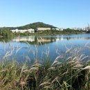 수문2농장 이미지