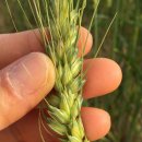 구례의 휴일 이미지