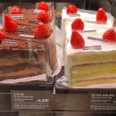 파스쿠찌 해운대점 이미지