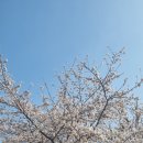 행복한현대부동산공인중개사사무소 이미지
