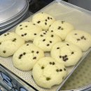 청계산로11길 14 | 2024 여름휴가 시작 ! 속초 중앙시장 막걸리술빵 옥수수술빵 곰치국