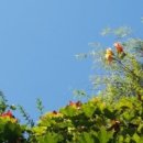 푸르른날 이미지