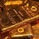 900달러 이미지