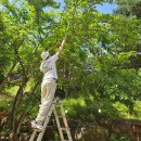 준 농장 이미지