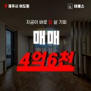 탐나지오 이미지