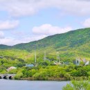 둘레길가든 이미지