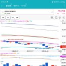 에스와이인터내셔널