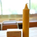 슬로시티수산협동조합 | 슬로시티 제천수산, 물과 산이 어우러진 치타슬로 벽화마을 산책과 천연밀랍초 체험/제천가볼만한곳...
