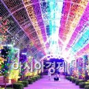기차마을 장미공원 이미지