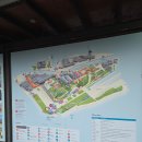 캠핑아일랜드 | 시드니 코카투아일랜드 캠핑 숙소 후기