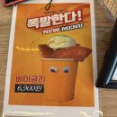 박준애견호텔강아지목욕대형견호텔애견유치원 | 실내 수영장이 있는 대형 대구 애견카페 [컴페니언]🐶
