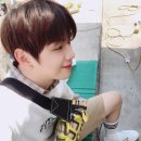 찍어 이미지