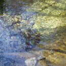 한국불교치악산관음사 이미지