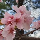 브라보캠핑장 이미지