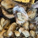 해우소(바다에서키운소) | 마산 구산면 굴구이 아무 데나 가도 다 비슷할까? 사장님이 직접 키운 햇굴 원조반동굴구이