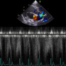천안24시스카이동물메디컬센터 이미지