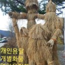 개인화물9 이미지