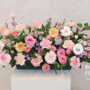 보볼리플라워 이미지