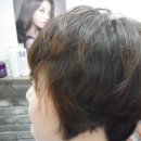 사파동156 이미지