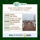 조광목재