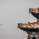 (주)황조 이미지