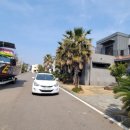 제주스타공인중개사사무소 이미지