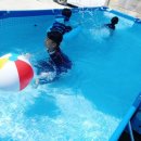 알파라이프 이미지