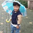 배다른남매 이미지