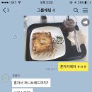 파페모에 이미지