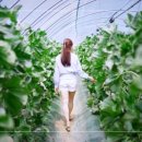 (주)씨엠지미디어