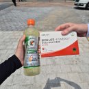 프로포즈엔젤 | 어차피 세상은 찰나의 불꽃놀이야
