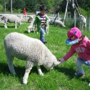 유일목장 이미지