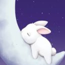 달나라토끼 이미지