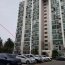 새조은약국 이미지