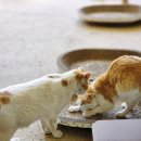 일오농장 이미지