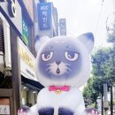 노라조 야옹아 이미지