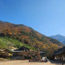 표충사호국박물관 이미지