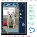 여울 이미지