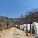 가자 | [대구/달성] 대구 근교 야외바베큐 현풍 '숲에가자' 당일 캠프닉 후기