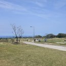 제10회 제주특별자치도지사배 전국 파크골프대회 이미지