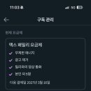 톰 패밀리 | 듀오링고 일본어 35일차 내돈내산 맥스 패밀리 후기 & chatGPT 활용하여 N5 준비 꿀팁