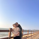 서울근교 경기근교 당일치기 바다구경 궁평항 가는법...해수욕장, 산책, 카페, 수산시장, 회센터 가격 후기