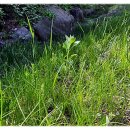 오빌농장 이미지