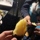 청계산골든밸리가족캠핑장 이미지