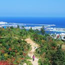 호수와바다 이미지