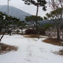 심스캐빈 이미지