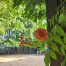 감투봉약수터 이미지